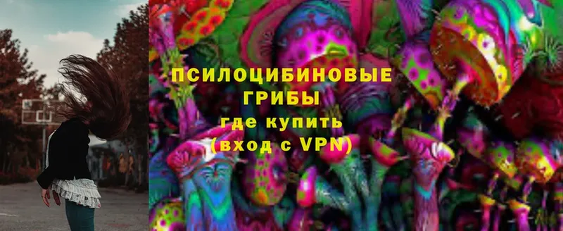 Галлюциногенные грибы MAGIC MUSHROOMS  Руза 